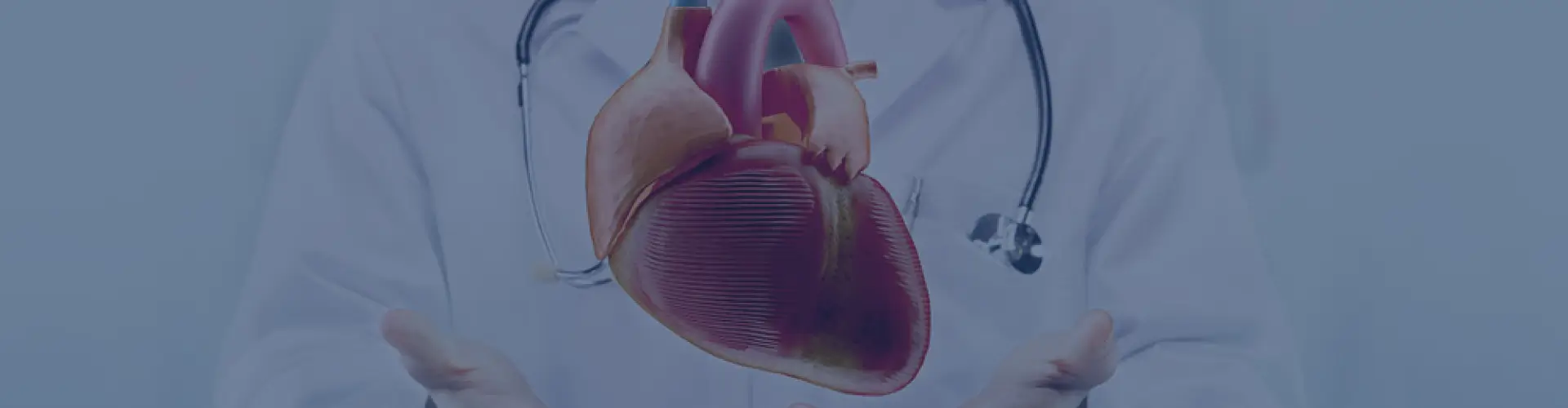 Cardiology Speciality