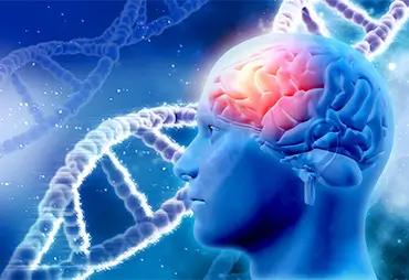 Neuroscience Brain Stroke Treatment