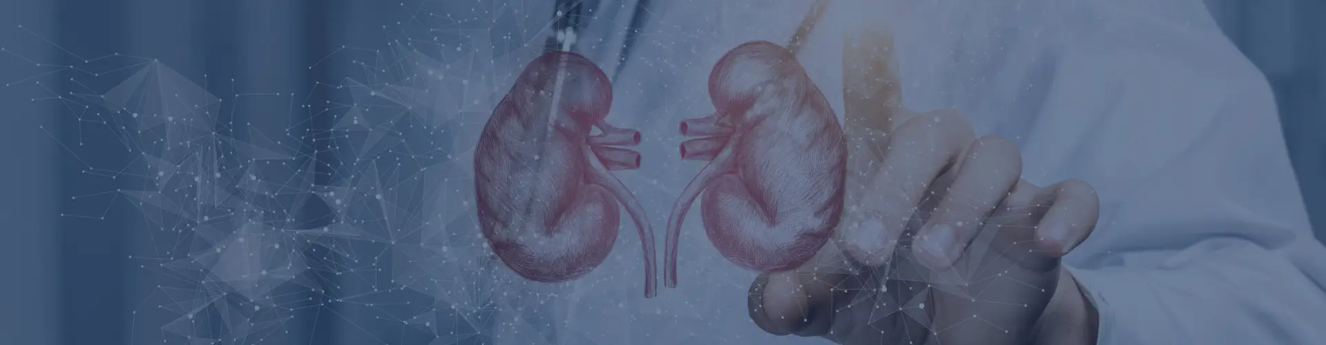 Nephrology Speciality