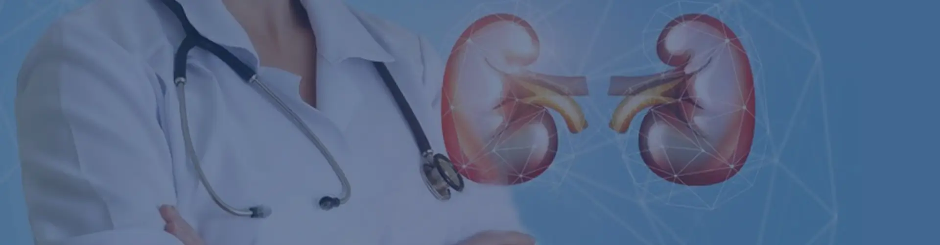 Urology Speciality